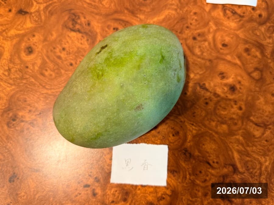 台湾で購入