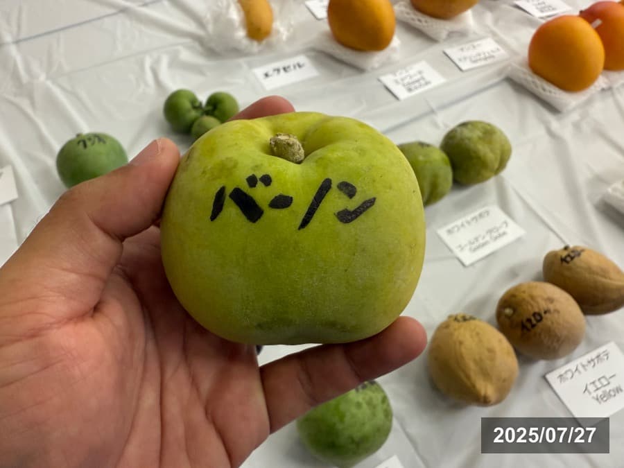 バーノン
